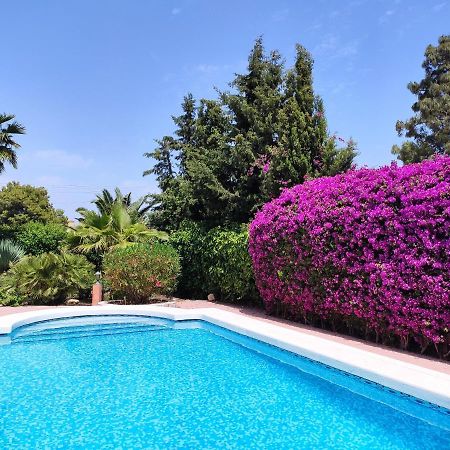Villa With Private Pool, Bbq, Fitness Center & Sauna Сан-Висенте-дель-Распеч Экстерьер фото